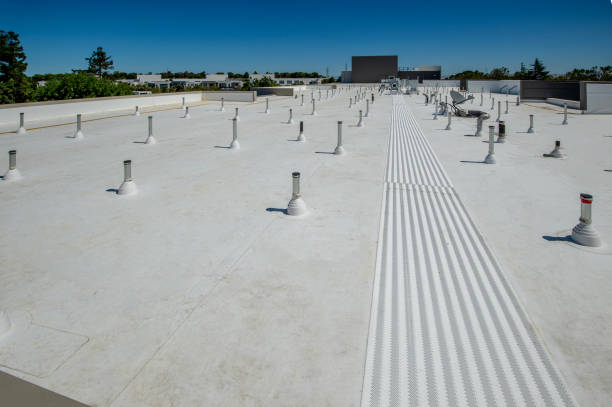 Best Roof Ventilation Installation  in West Glendive, MT